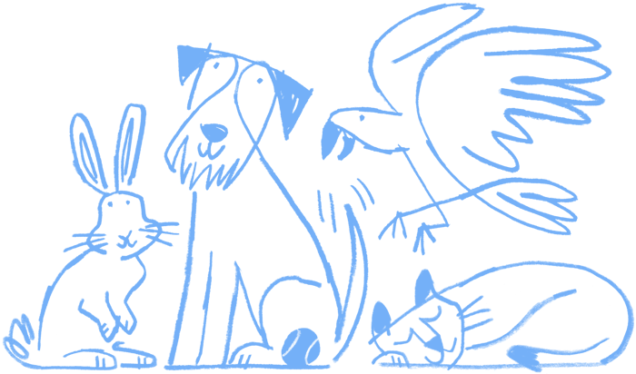 A rabbit, a pup, a bird and a cat together